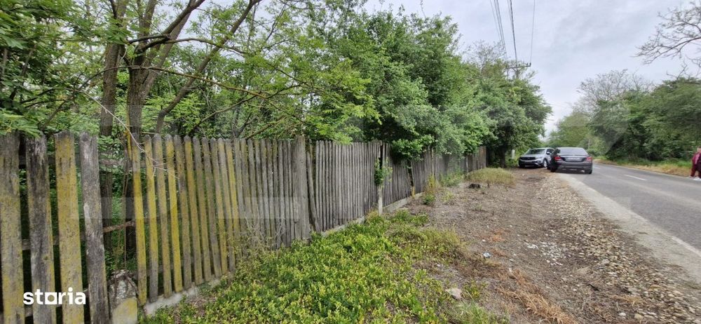 Domeniu polivalent, ideal pentru 2 familii / afacere, 300 mp, zona Sud