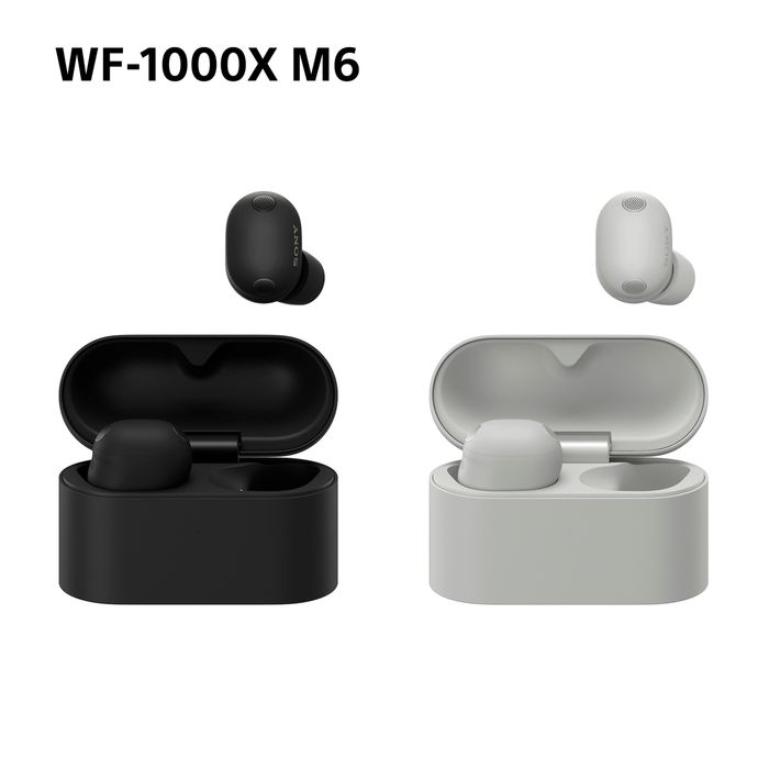 Sony WF-1000XM6 (оптом)