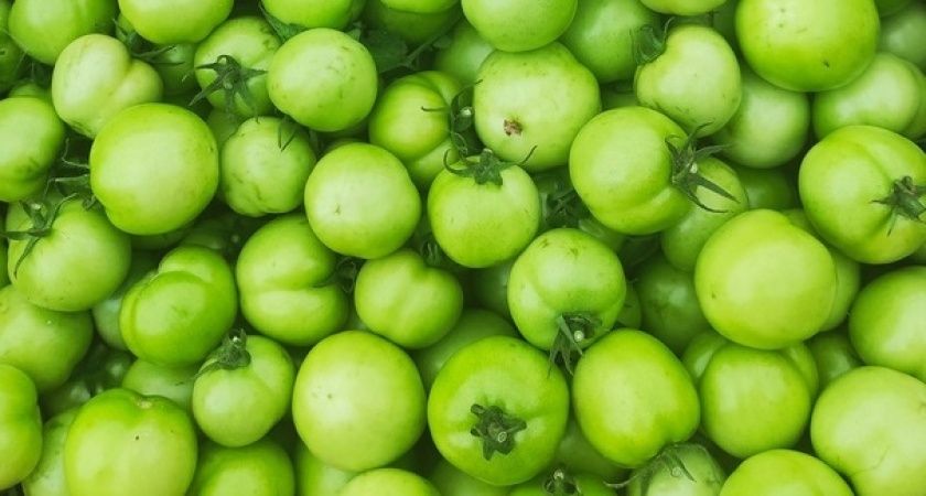 Продам зелёные помидоры