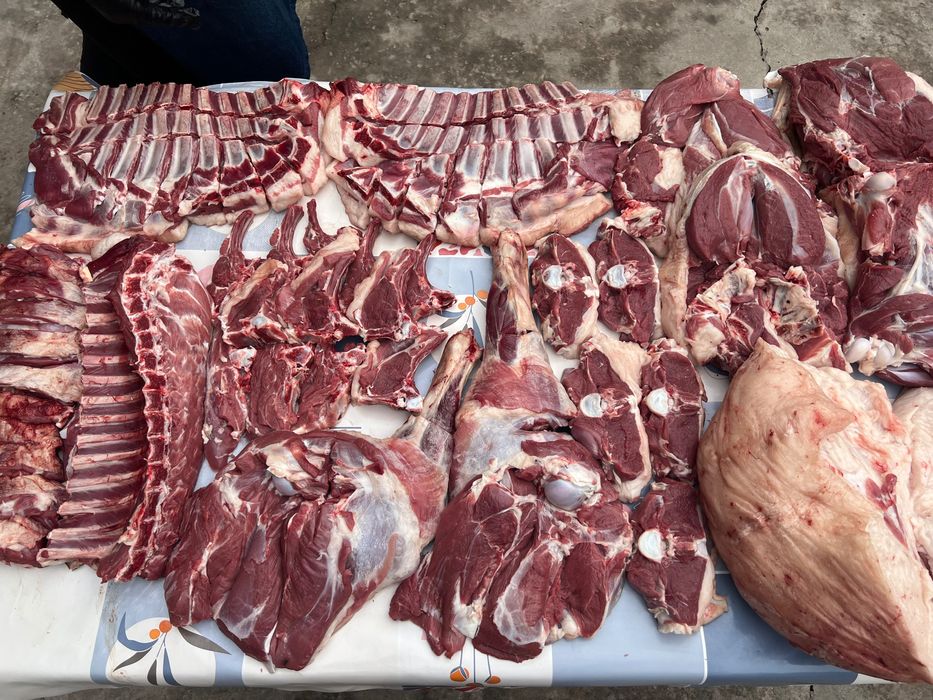 Aqiqa va Ehsonga tirik qo’ylar‼️