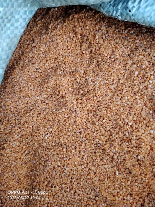 Продам крошка ...