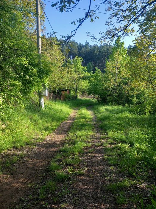 Продава се Къща в с. Люлин, Област Перник - 40 кв.м за 1500 €/кв.м - Снимка #7