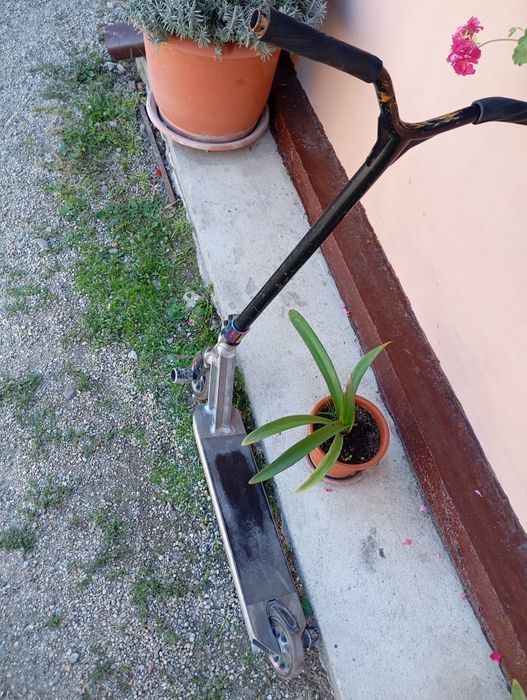 Trotineta copii/adulti!