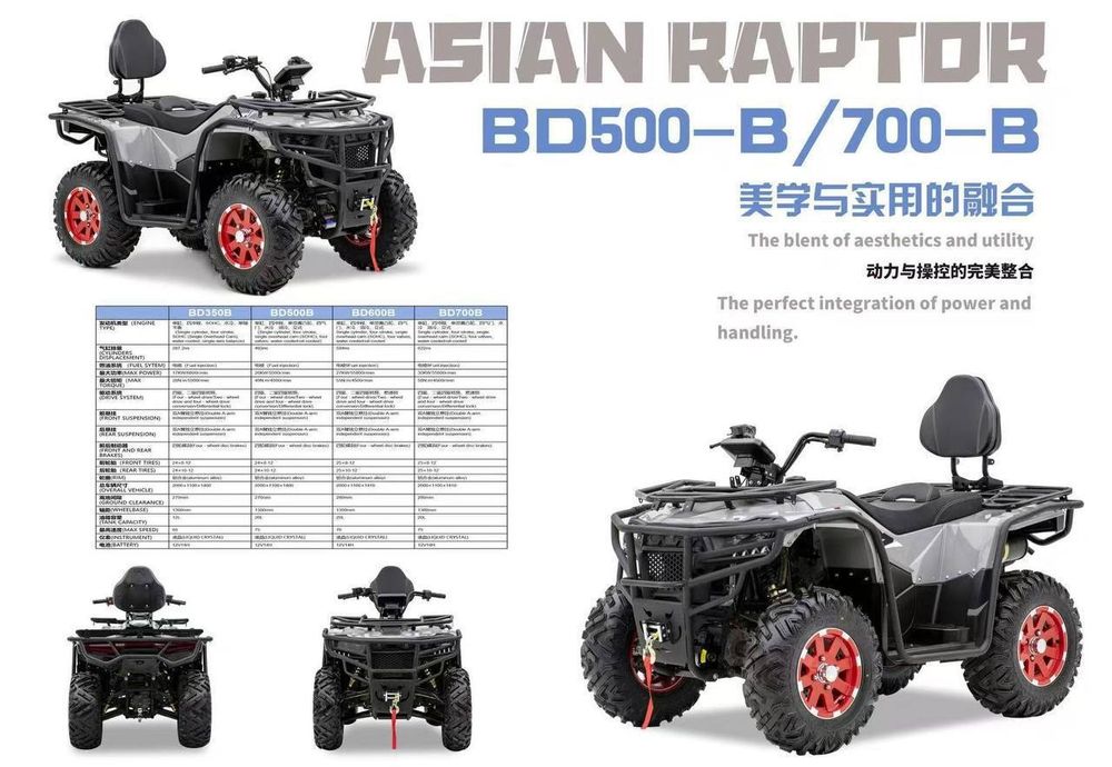 Квадроцикл Asian raptor