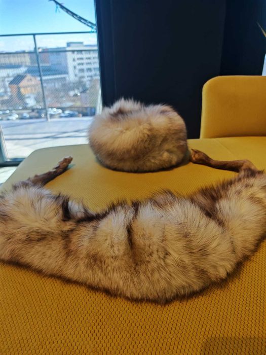 set căciulă cu guler vulpe polară