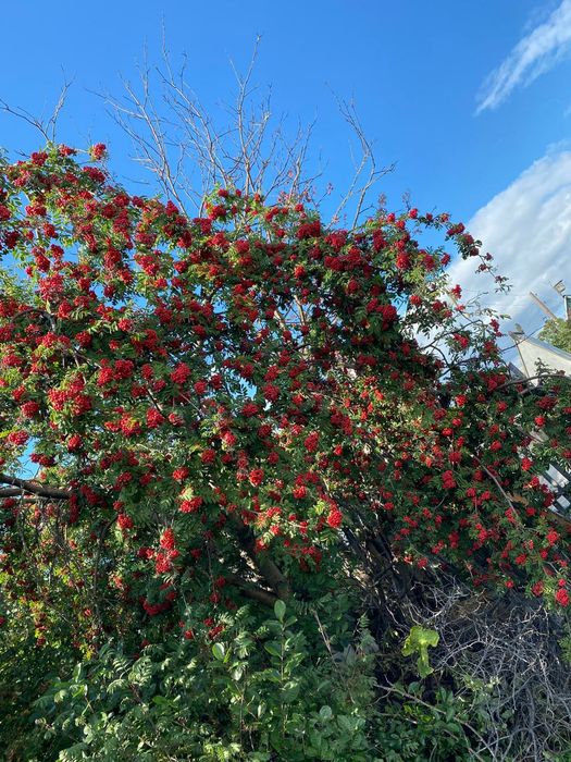 Продается отличная дача