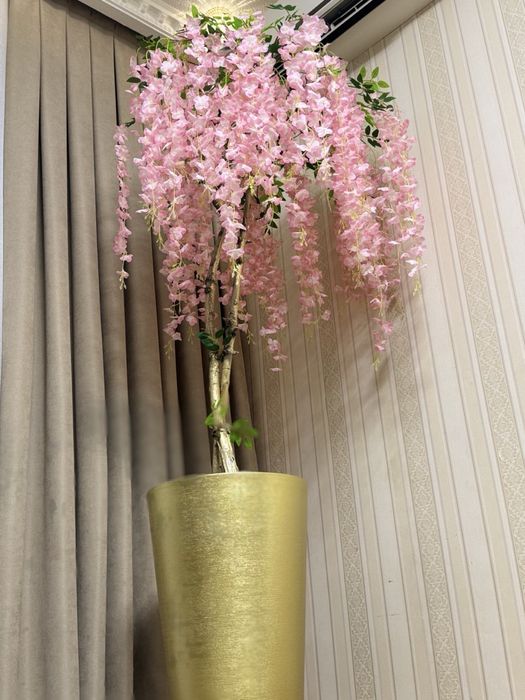 Декоративная глинция