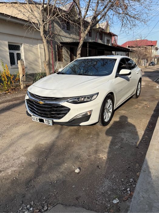 Malibu 2 2/4 polni primer qilingan