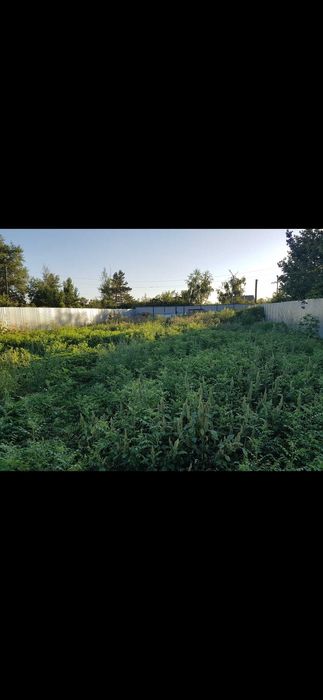 Продам дачный участок