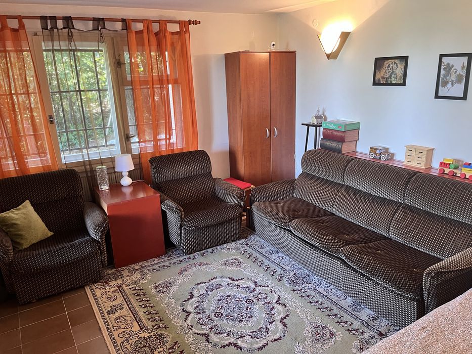 Персийски килим в зелено 230/170