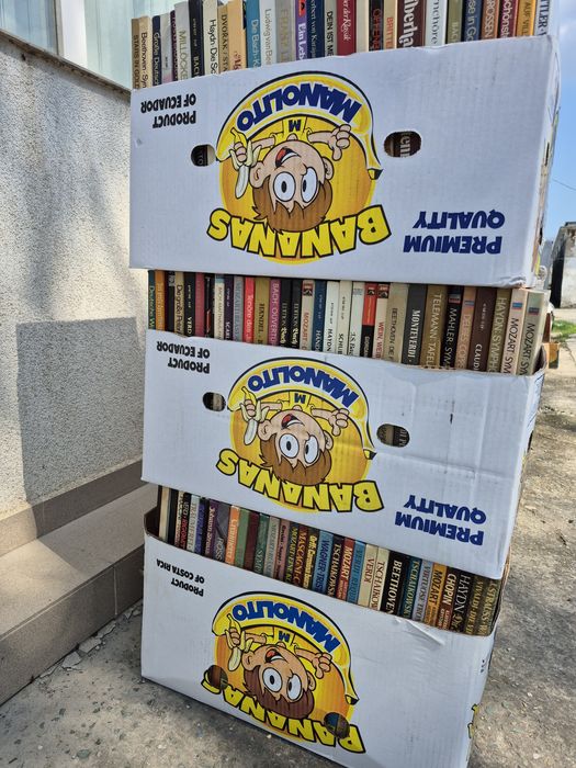 Vând Lot Discuri Vinil 100LP,muzica Clasică mixta 

- Clasică 

- In