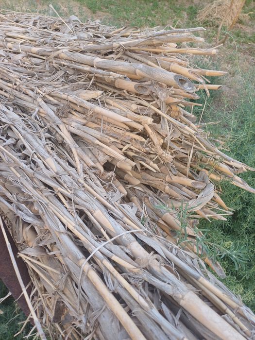 G'arov loy shirdam uchun