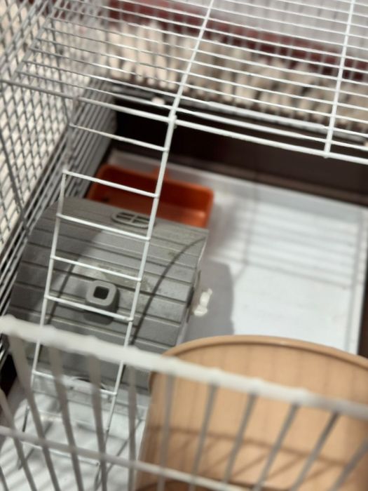 Клетка для хомяков 2 этажа