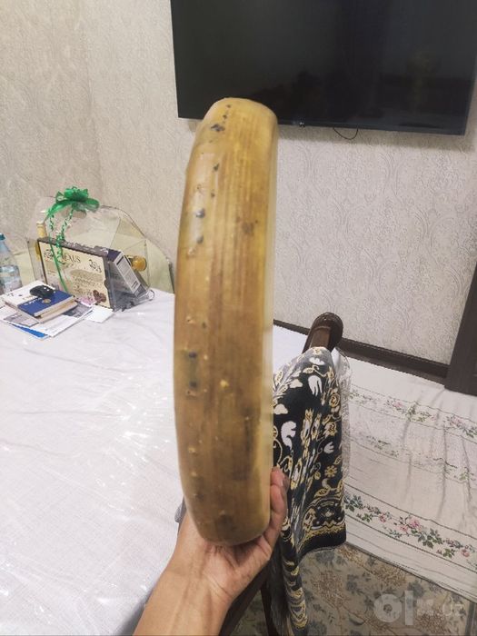 Doira Акаця sotiladi 37 razmer