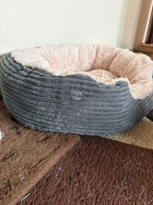 Pat / Culcuș pisici