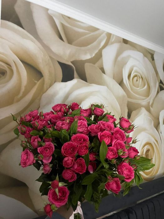 Свежие кустарные розы срочно