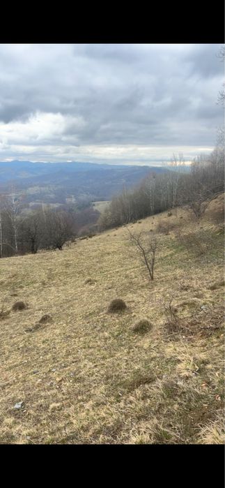 Vand teren sau schimb  pentru cabana mai multe detali la telefon