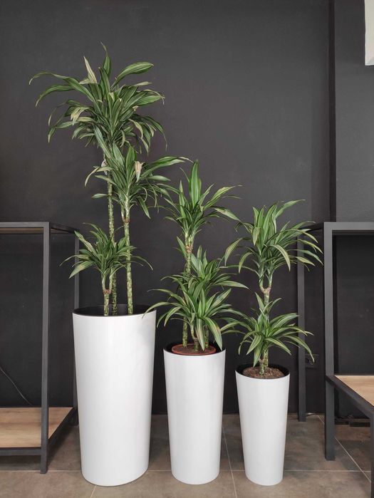 Горшки и кашпо в широком ассортименте с автополивом