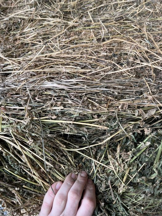 Vand lucerna ,calitate foarte buna