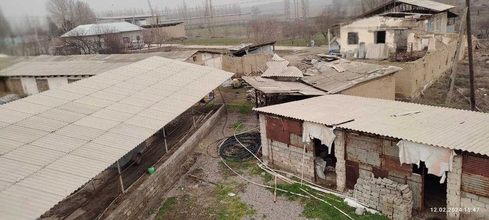 81 сотик ер сотилади