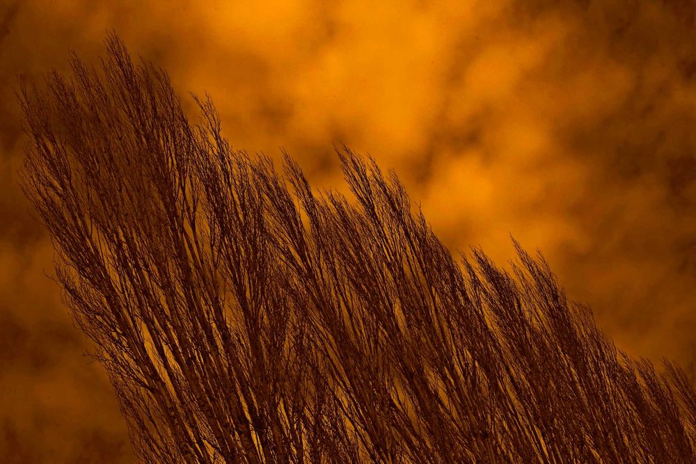 Canon 6D+ obiectiv 28-80