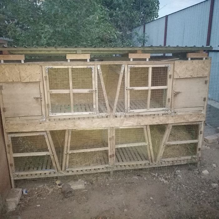 Продам крольчатник