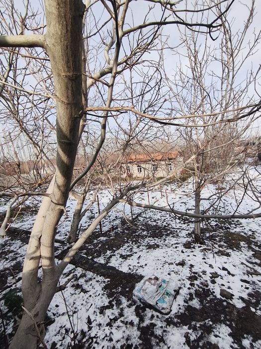 Ttz metro yonida yer sotiladi 5 so'tix