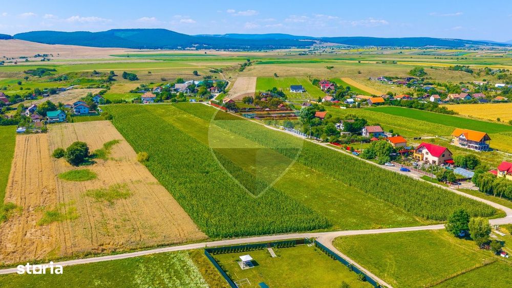 Comision 0% |Teren Intravilan Harman |Podu Oltului| principala