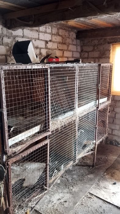 Клетки для кроликов