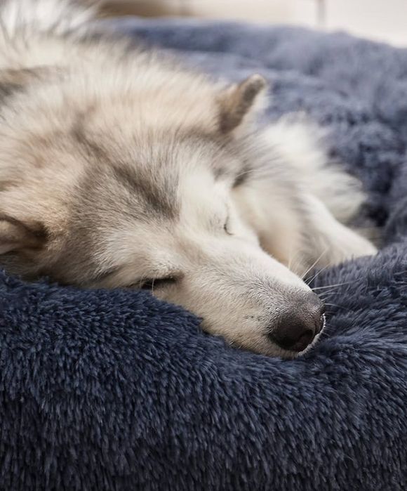 Пухкаво кучешко легло Feandrea диаметър 140см