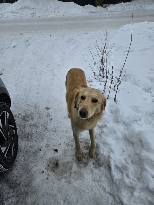 В хорошие руки кабель