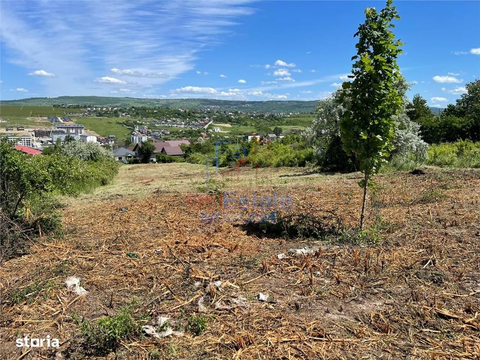 Ocazie! Visan TEREN 1616mp intravilan lot pt constructie casa