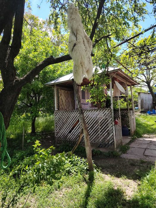 Teren 700 mp strada Tuchiloaia nr 4 casa batraneasca 2 camere Podeni Barlad