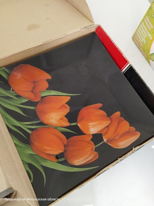 Посуда, тарелки тарелки