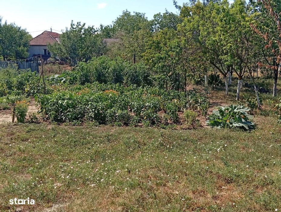 Gospodarie de vanzare in Ineu