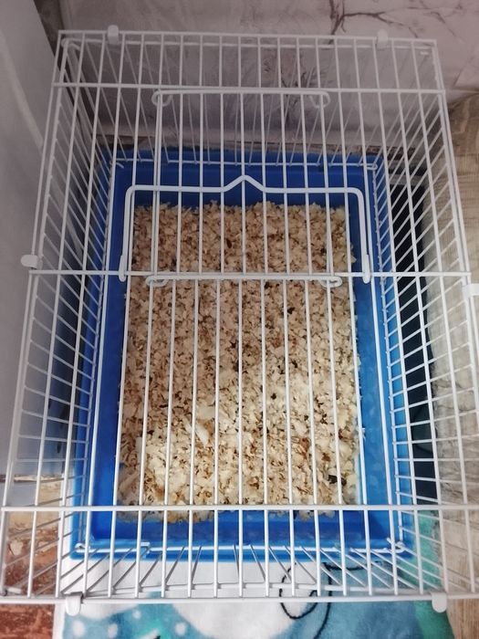 Продаю клетку для хомяка
