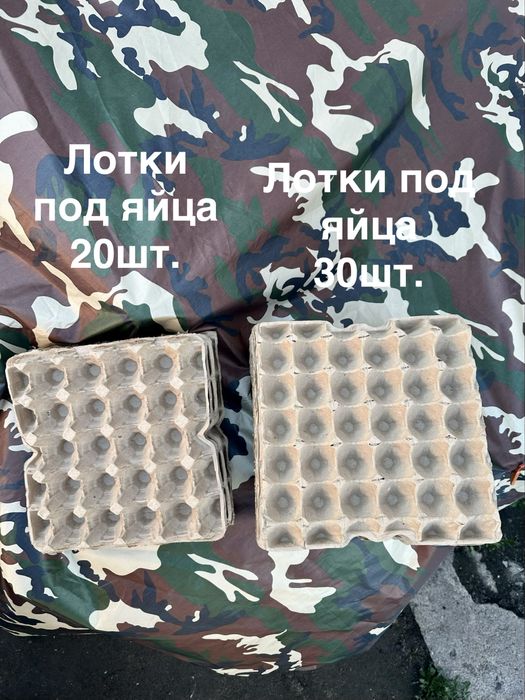 Лотки для яиц , под 20 и 30 яиц