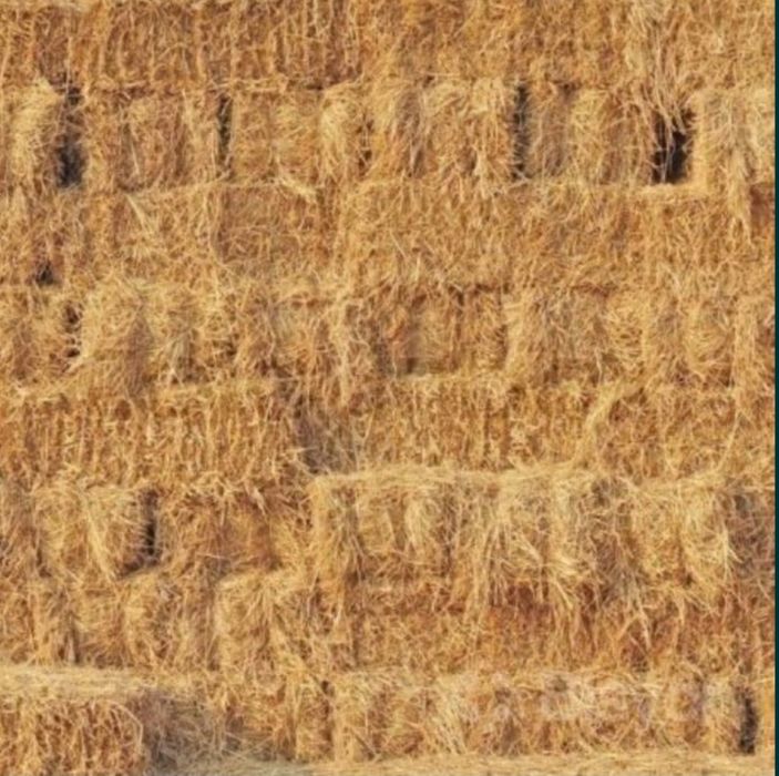 Beda va somon pres optom narxlarda