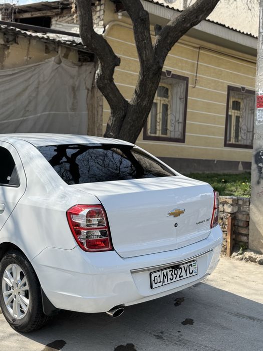 Kobilt Sotiladi 2024-25