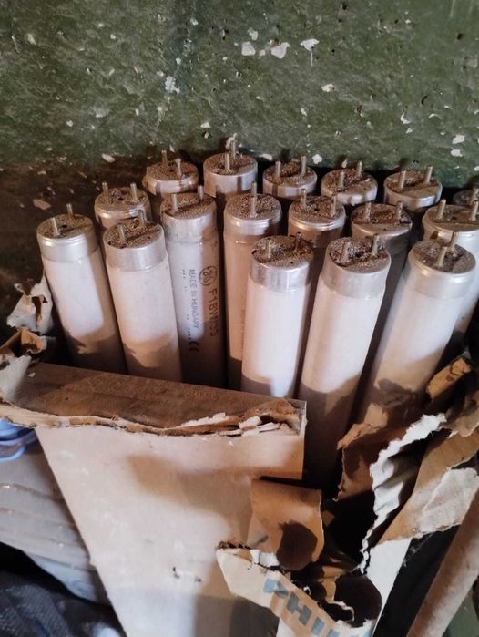 Лампа дневного света