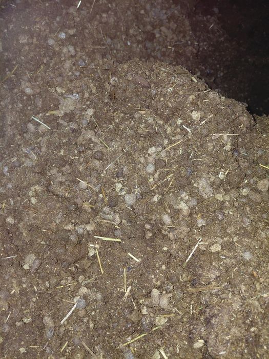 Poru goʻspand quy goʻngi tabiiy oʻgʻit qopi 35 ming soʻm