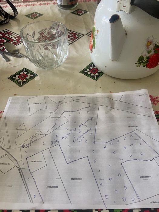 Кора сатылады .Фазенда продаеться