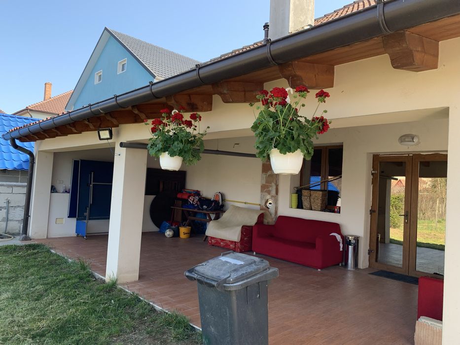 Casa cu etaj, 240 mp, an 2008,gradina 1000 mp. - Chisineu-Cris