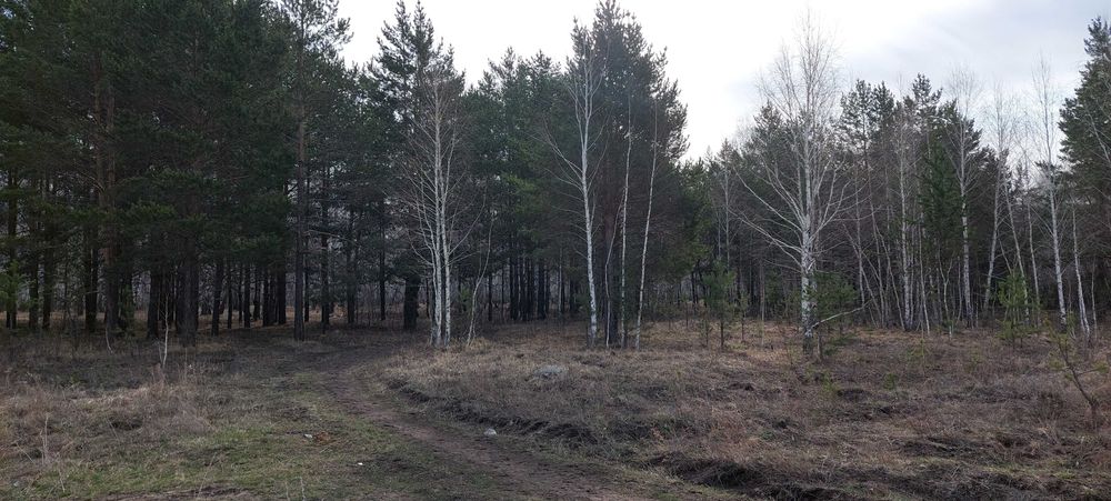 Продам участок земли