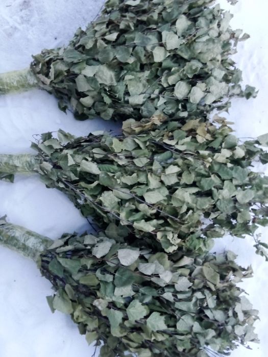 Продам берёзовые веники