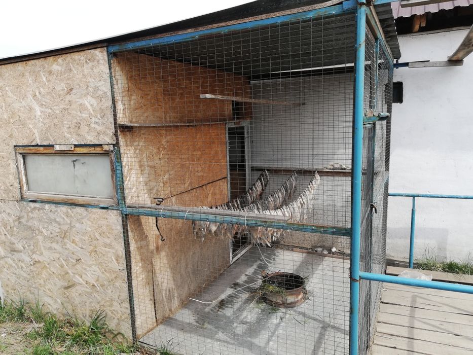 Продам голубятник.