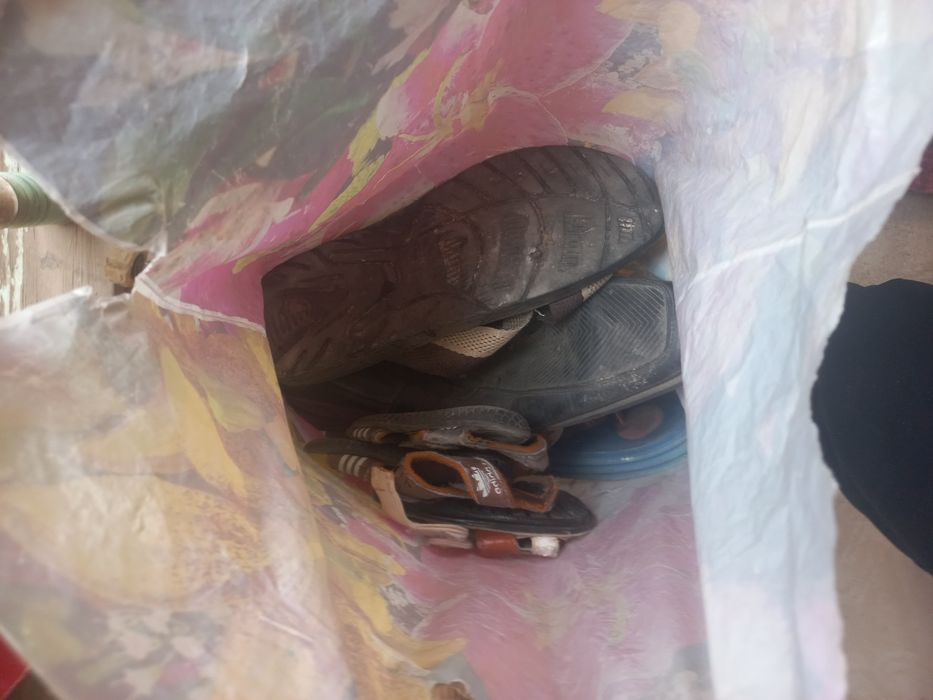 Отдам даром бесплатно