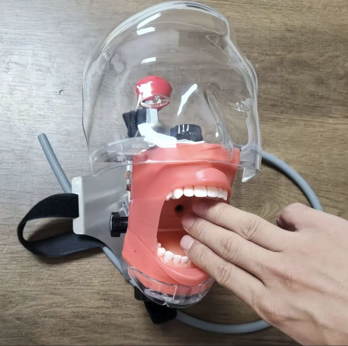 Голова стоматология