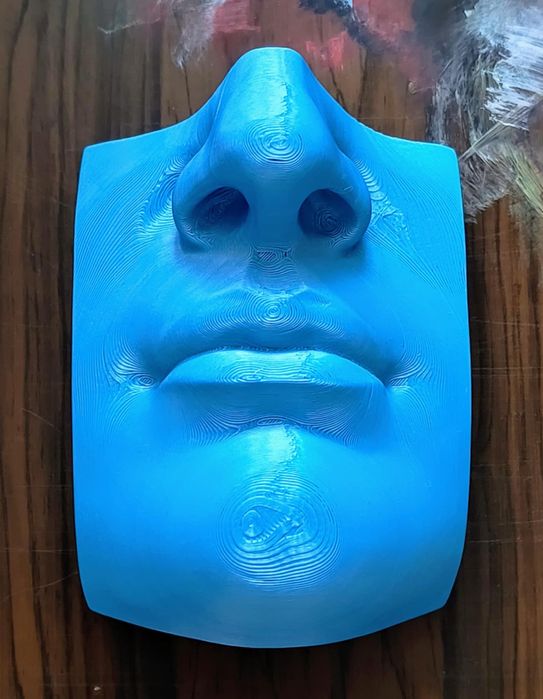 Нос, ухо, око и уста на Давид от Микеланджело