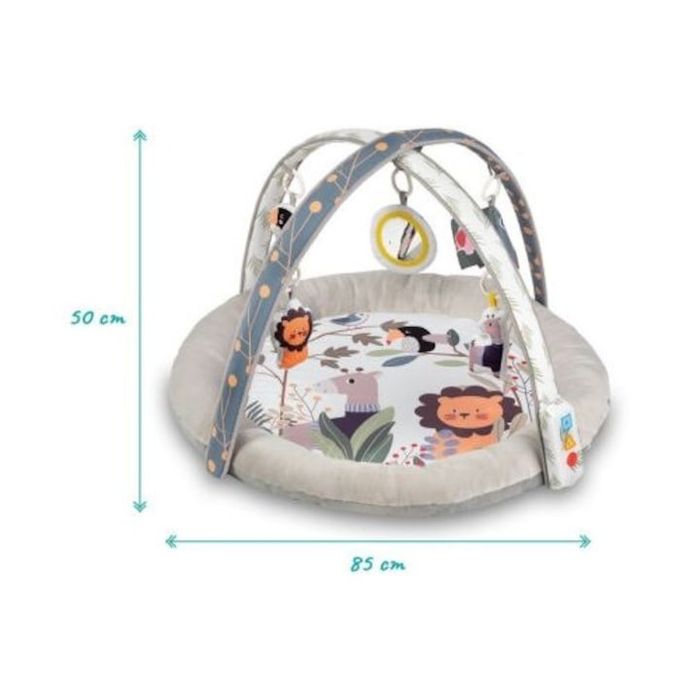 Salteluta Muzicala si Centru de Activitati cu Lumini, 5 Jucarii Senzor